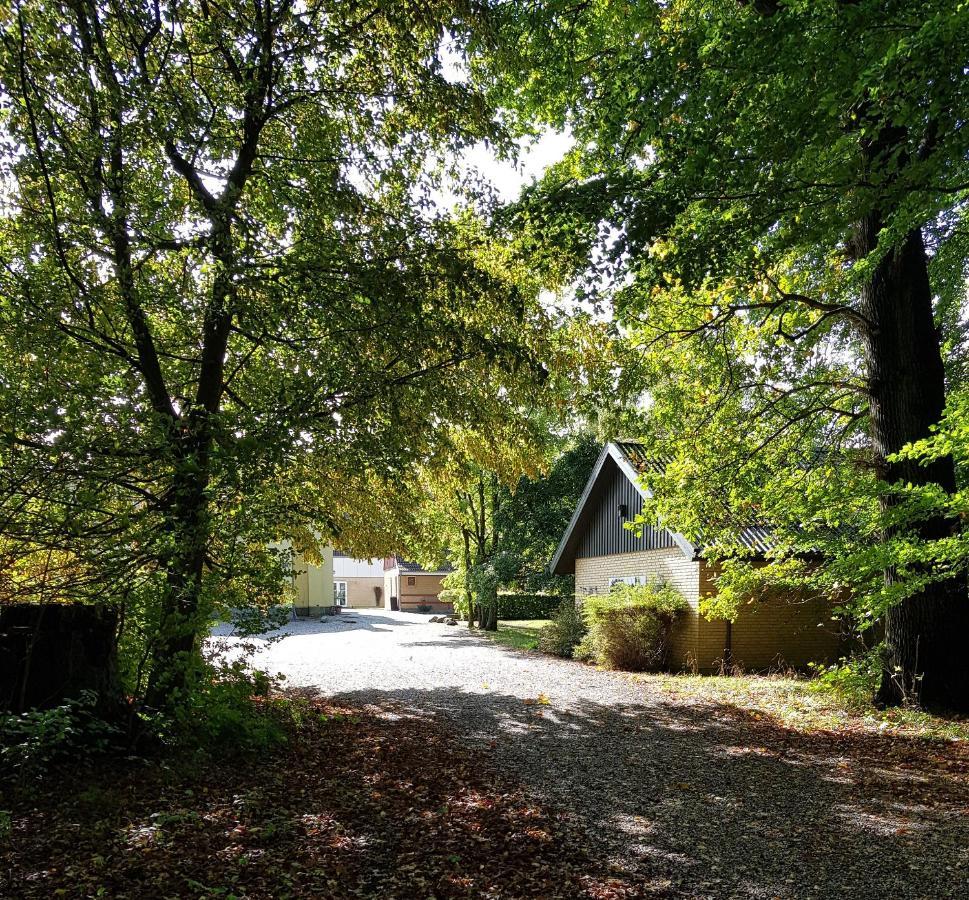 Pederstrup Bed And Breakfast Torrig Extérieur photo